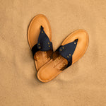 The Alexandria in Navy